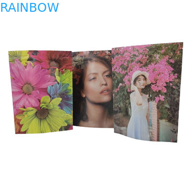 맞춤형 PLA 식품 포장 가방 플라스틱 지프 잠금 알루미늄 엽지 가방