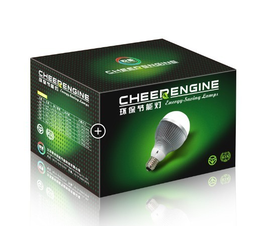 Eco - 관례에 의하여 인쇄되는 로고를 가진 친절한 지도된 전구 서류상 포장 상자